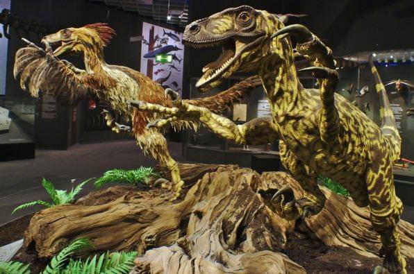 Dinosaurus Terpintar