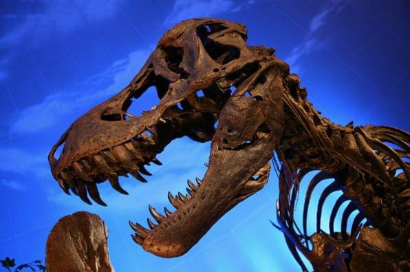 Dinosaurus Terpintar