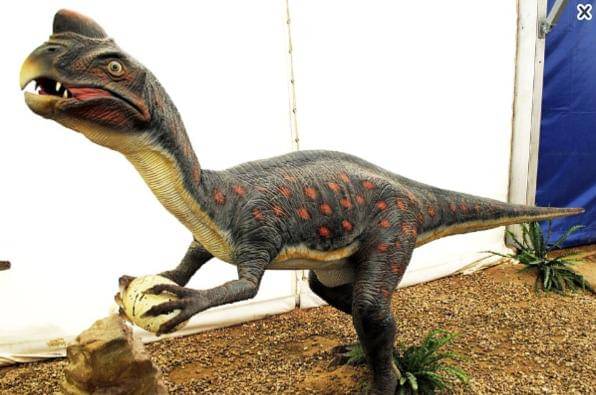 Dinosaurus Terpintar