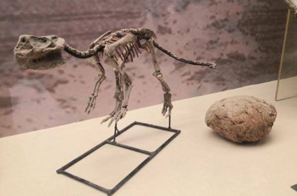 Telur Dinosaurus