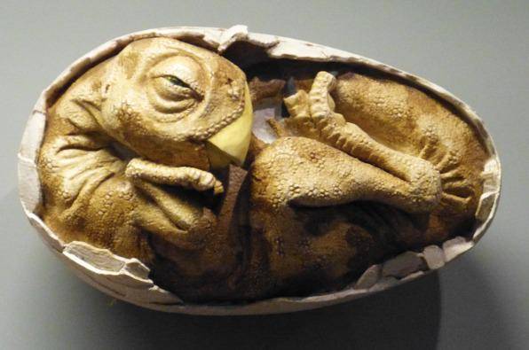 Telur Dinosaurus