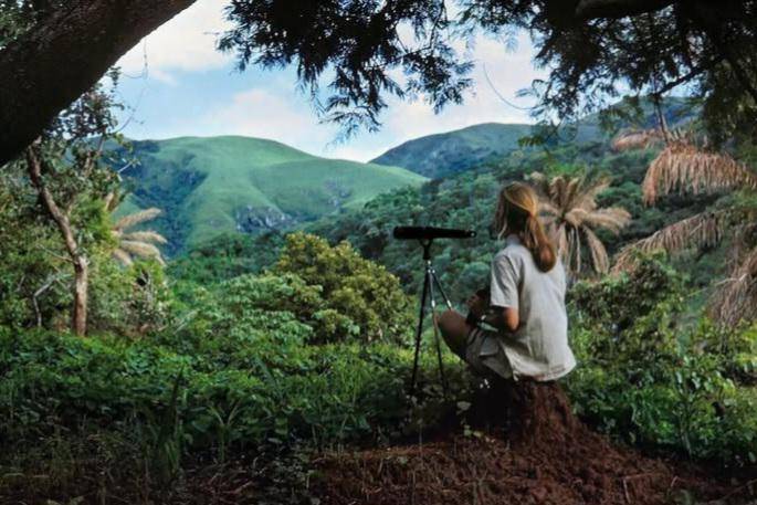 Jane Goodall saat di Gombe, Afrika (instagram.com/janegoodallinst)