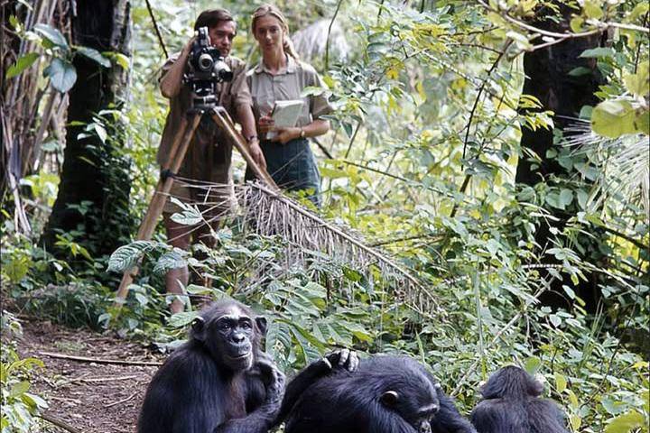 Jane Goodall bersama Hugo van Lawick dalam pembuatan film dokumenter My Life Among the Wild Chimpanzees (instagram.com/janegoodallinst)