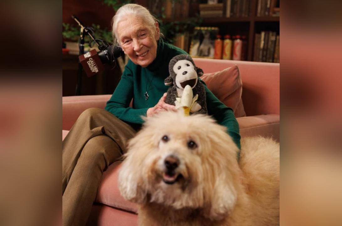 Jane Goodall bersama anjing (instagram.com/janegoodallinst)