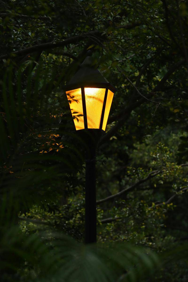 lampu taman estetik (unsplash.com/ Bjhelyn Igorot Clicker)