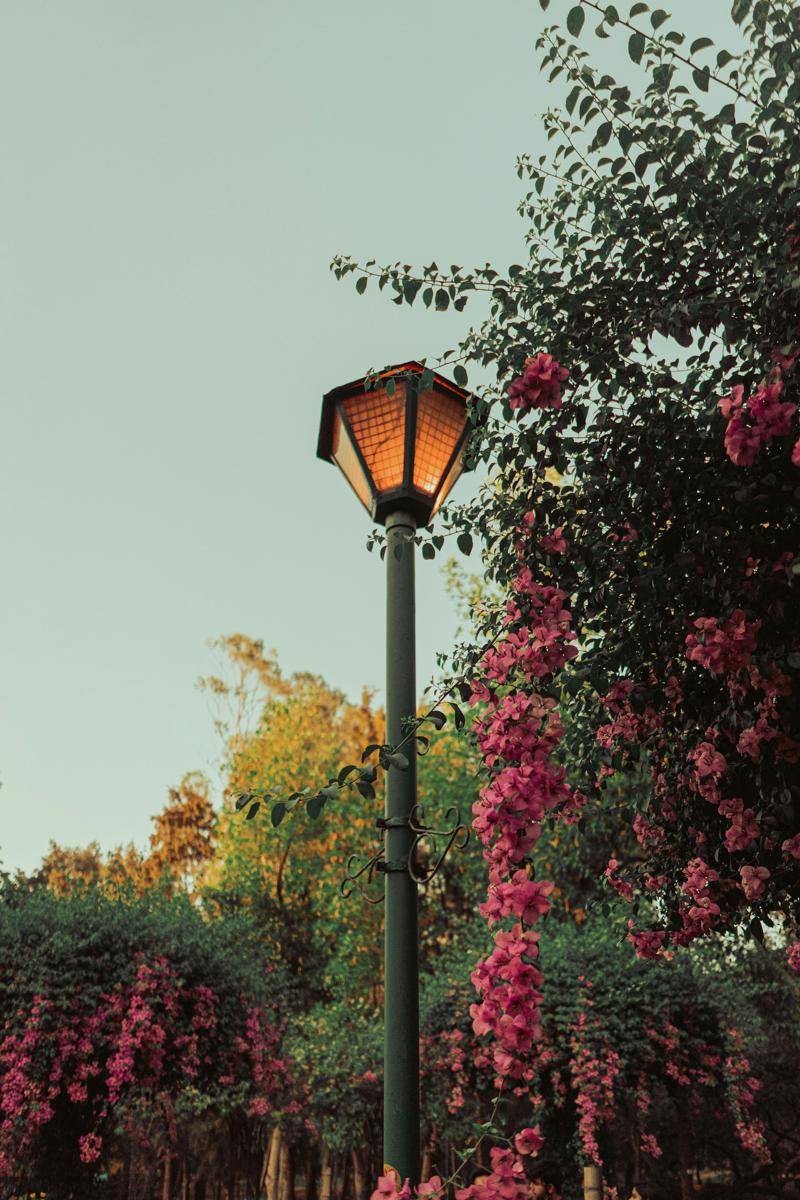 lampu taman estetik (unsplash.com/ Dewang Gupta)