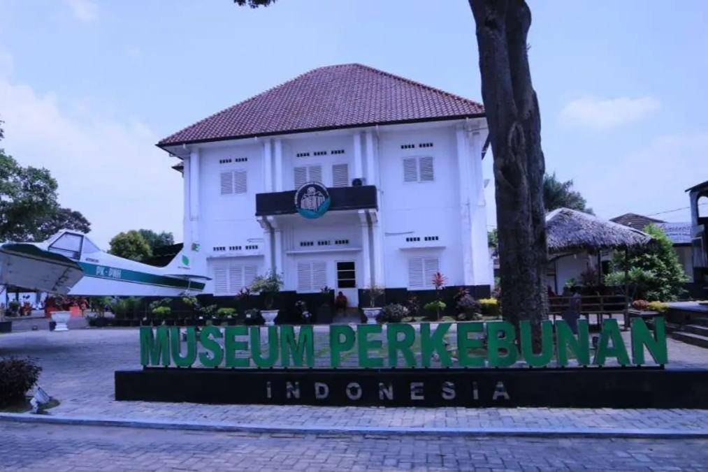 IDN Times/Masdalena Napitupulu
