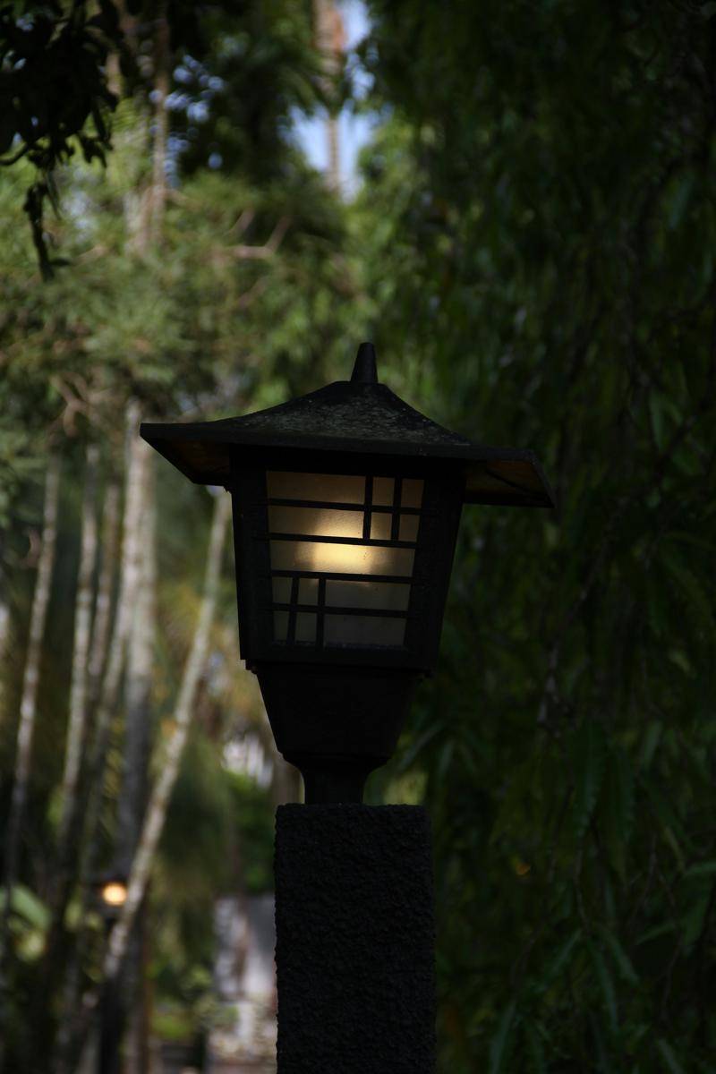 lampu taman estetik (unsplash.com/kevin Hansen)