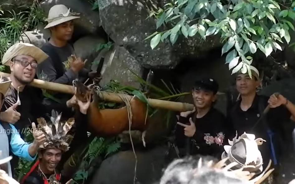 Warga mendapatkan kijang saat tradisi Maboros I Bulu Pangi. (YouTube.com/Desa Adat Busungbiu)