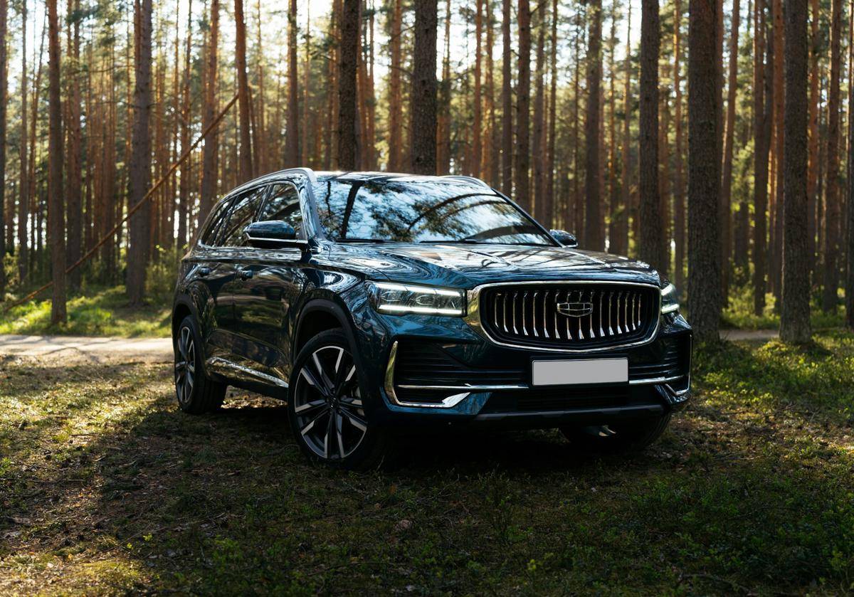 Geely. (unsplash.com/bot_va)