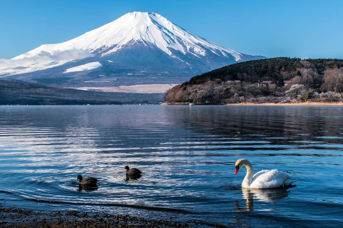 ilustrasi Gunung Fuji (pexels.com/Md Farhabi Helal)