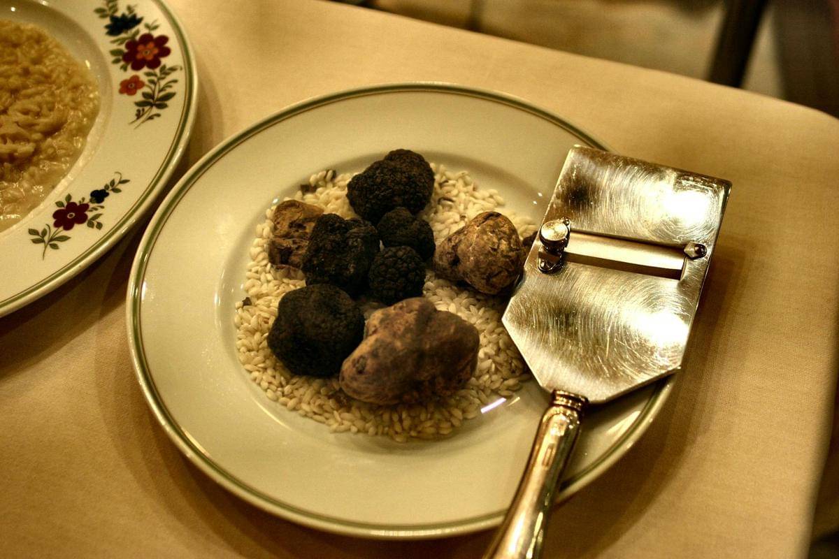 ilustrasi jamur truffle (pexels.com/Andrea Piacquadio)