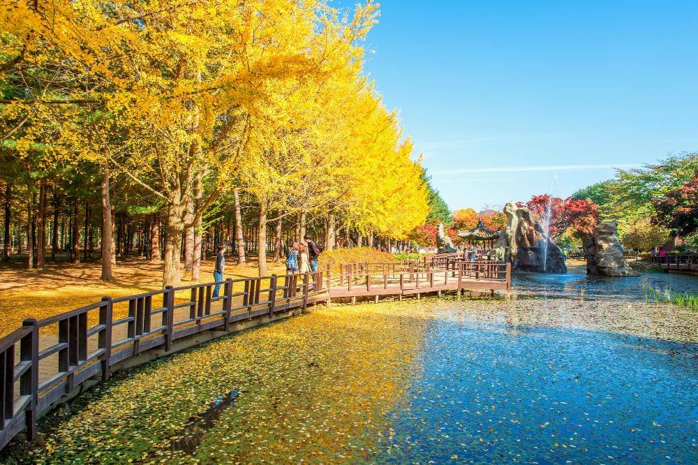 Nami Island saat musim gugur 