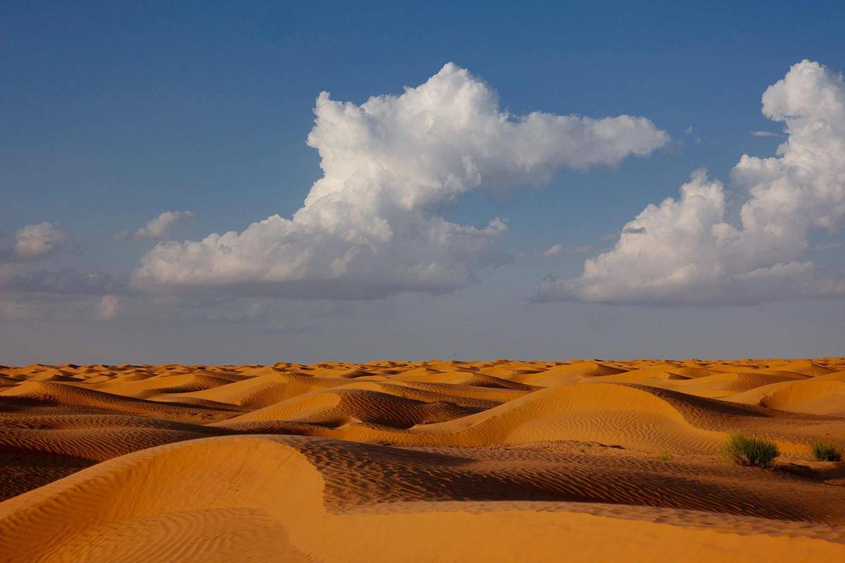 Gurun Sahara