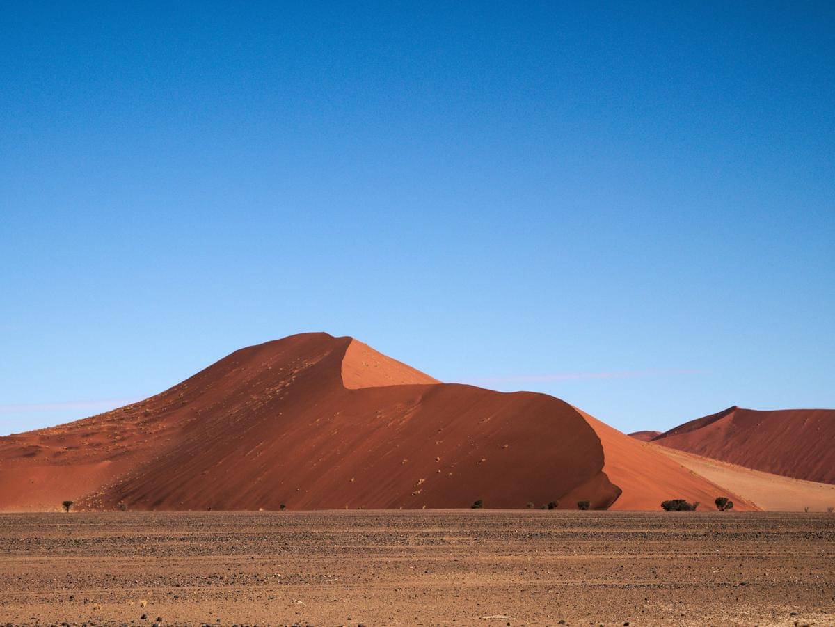 Lembah Deadvlei
