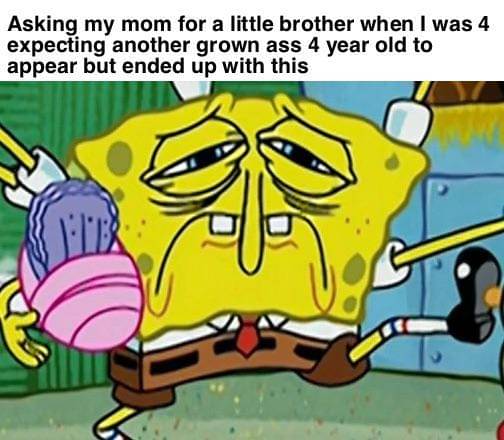 meme SpongeBob tentang abang cowok