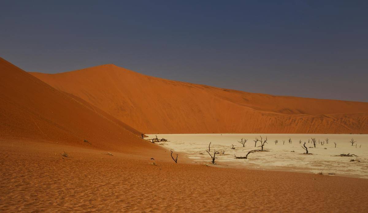 Lembah Deadvlei