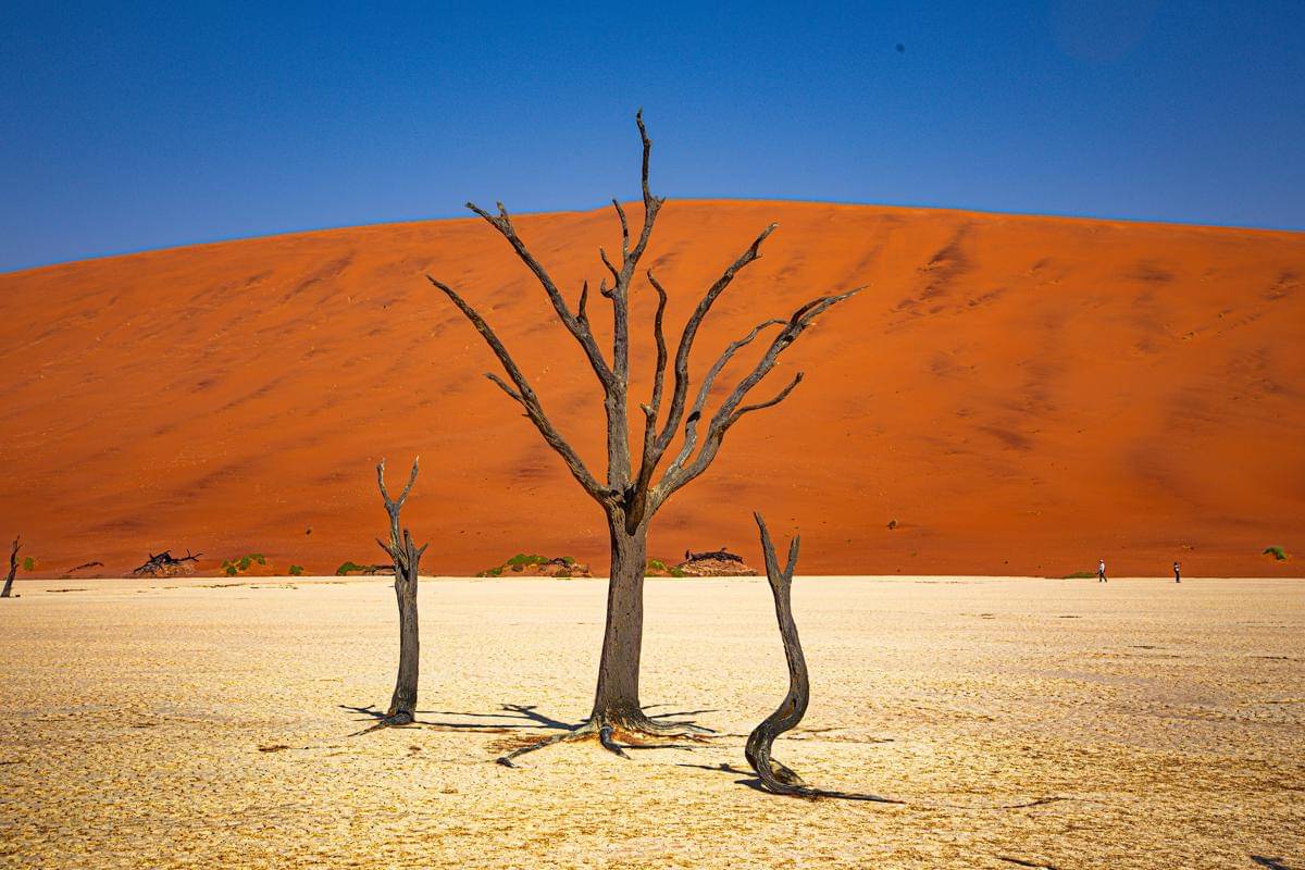Lembah Deadvlei