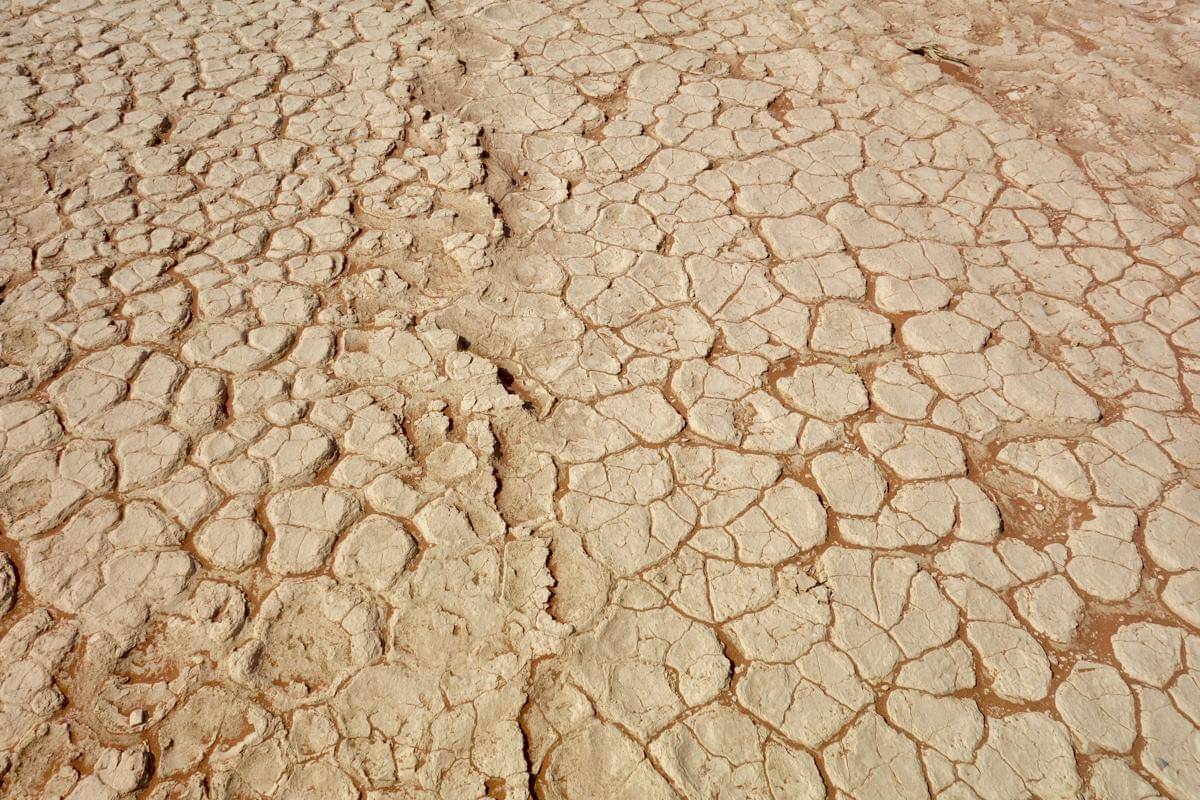 Lembah Deadvlei