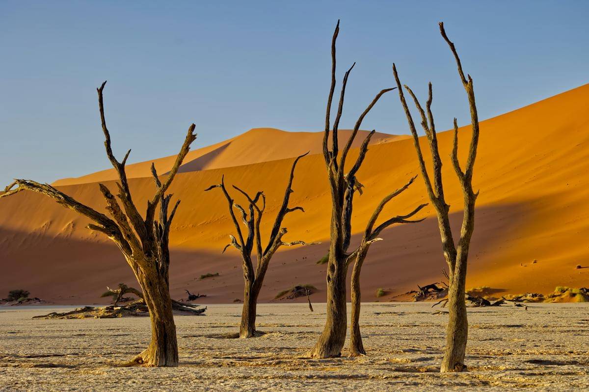 Lembah Deadvlei