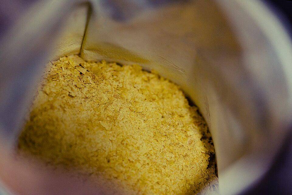 ilustrasi nutritional yeast