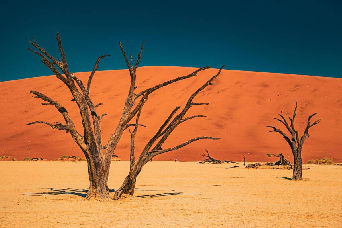 Lembah Deadvlei