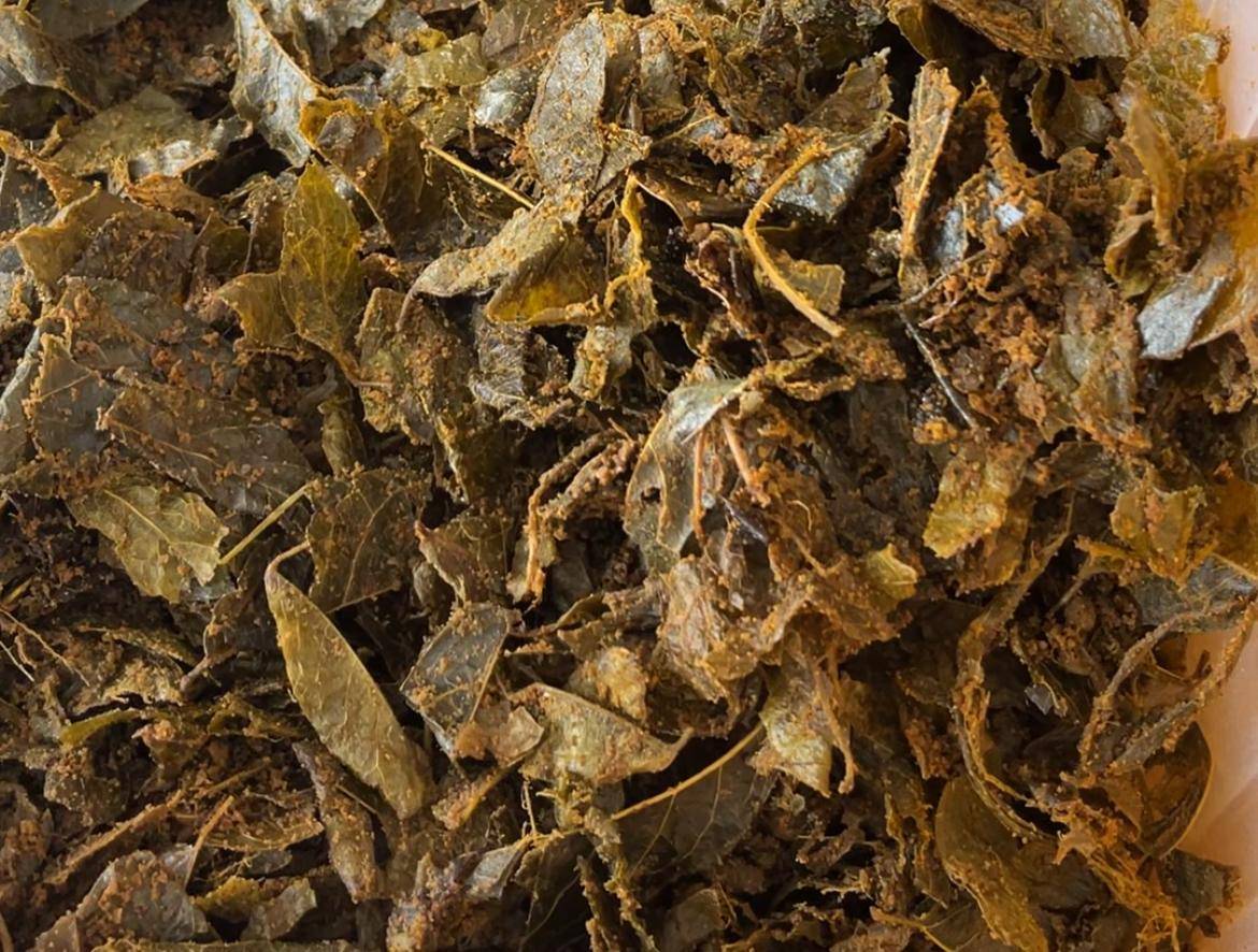 Rendang dedaunan di Payakumbuh, Sumatra Barat