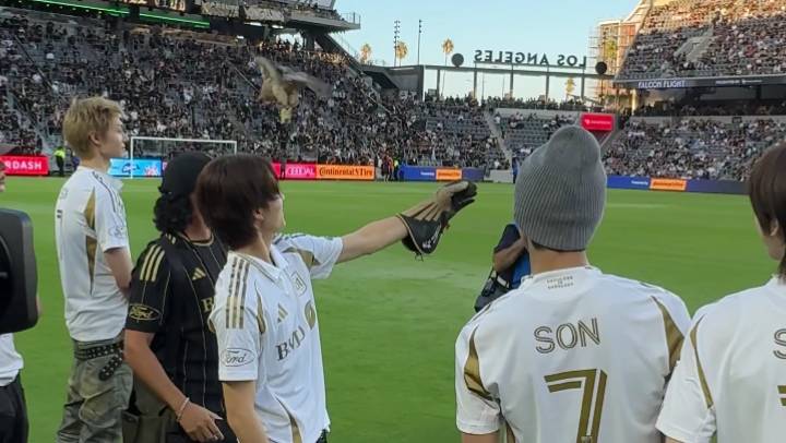 Cortis di LAFC