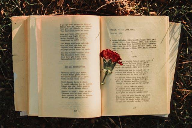 Ilustrasi buku