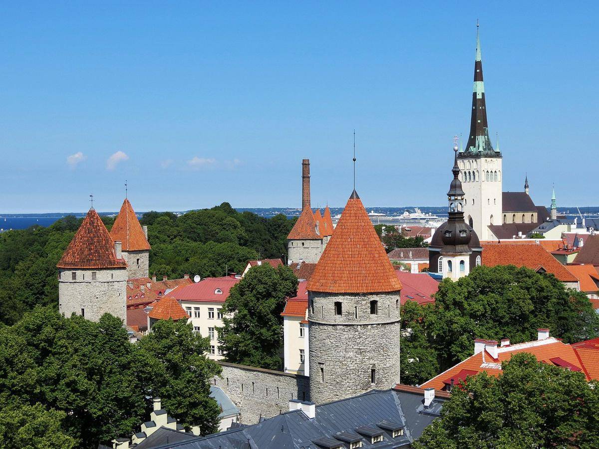 potret Kota Tallinn (pixabay.com/Patryk_Kuzior)