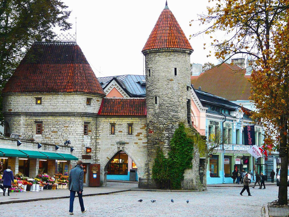 potret Old Town Tallinn (pixabay.com/sharonang)