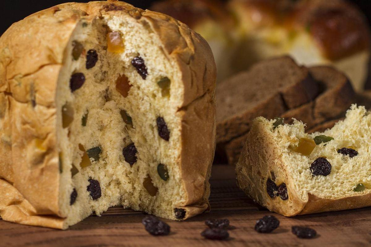 ilustrasi panettone