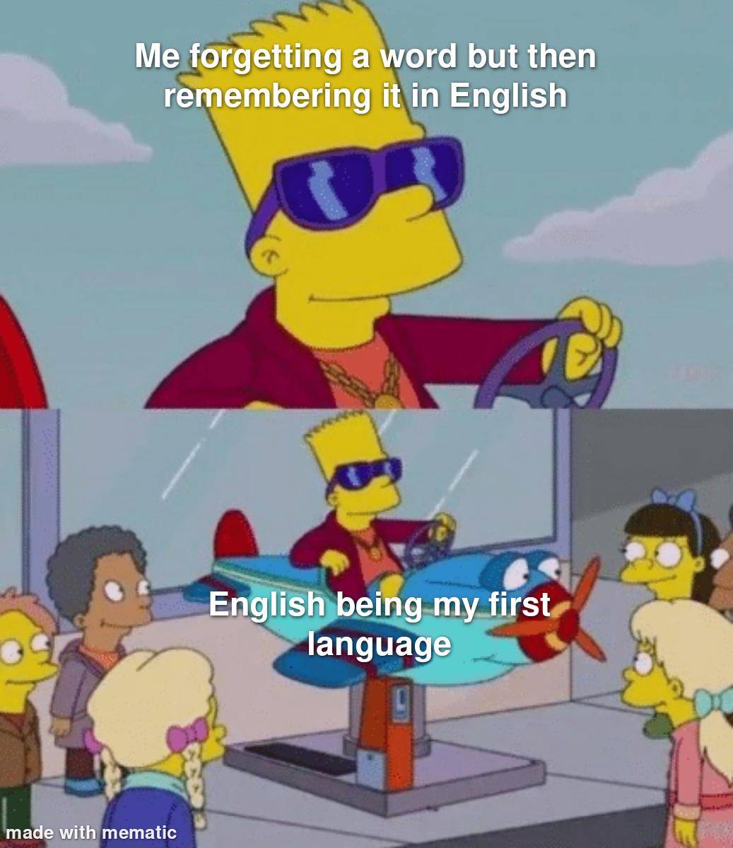 meme kocak bahasa Inggris (reddit.com/user/itsjeffdogg)