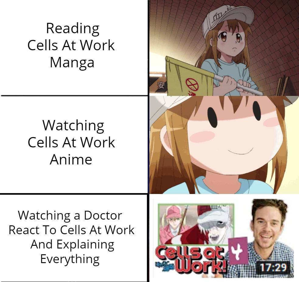 meme anime tentang dokter 