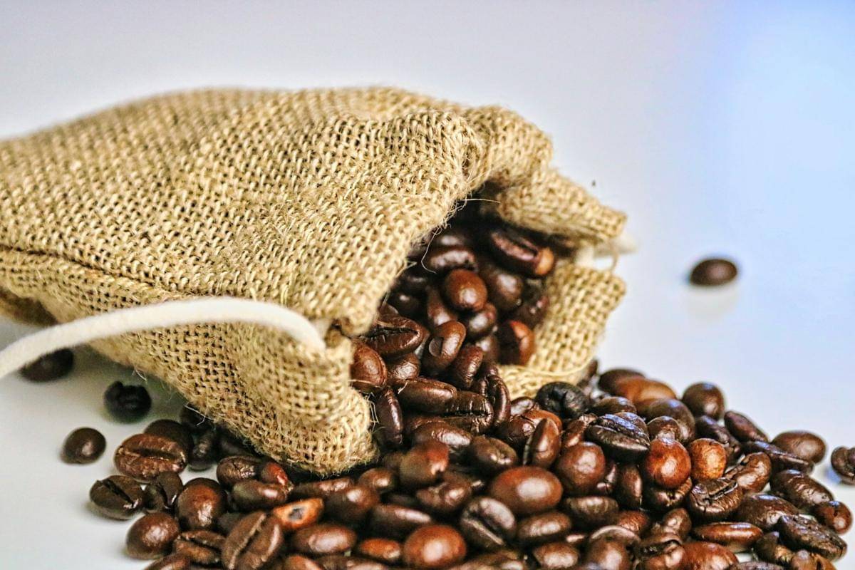 ilustrasi kopi robusta (unsplash.com/k_savchev)