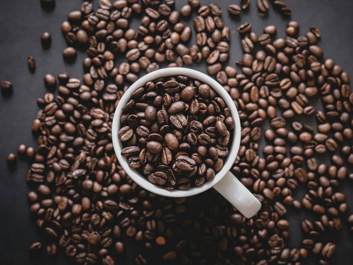ilustrasi biji kopi (unsplash.com/Patryk Rejdych)