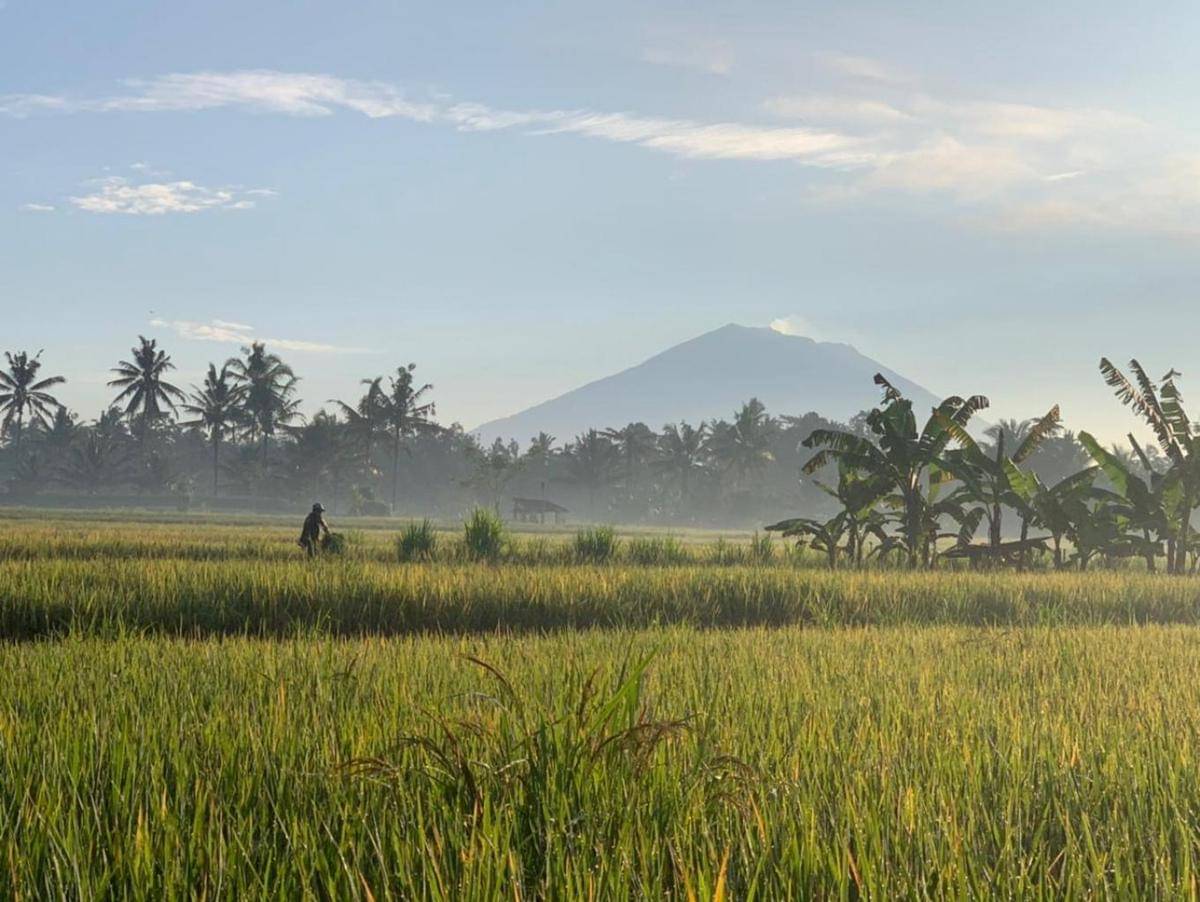 Pemandangan di Desa Pejeng Kangin. (Jadesta.kemenpar.go.id)