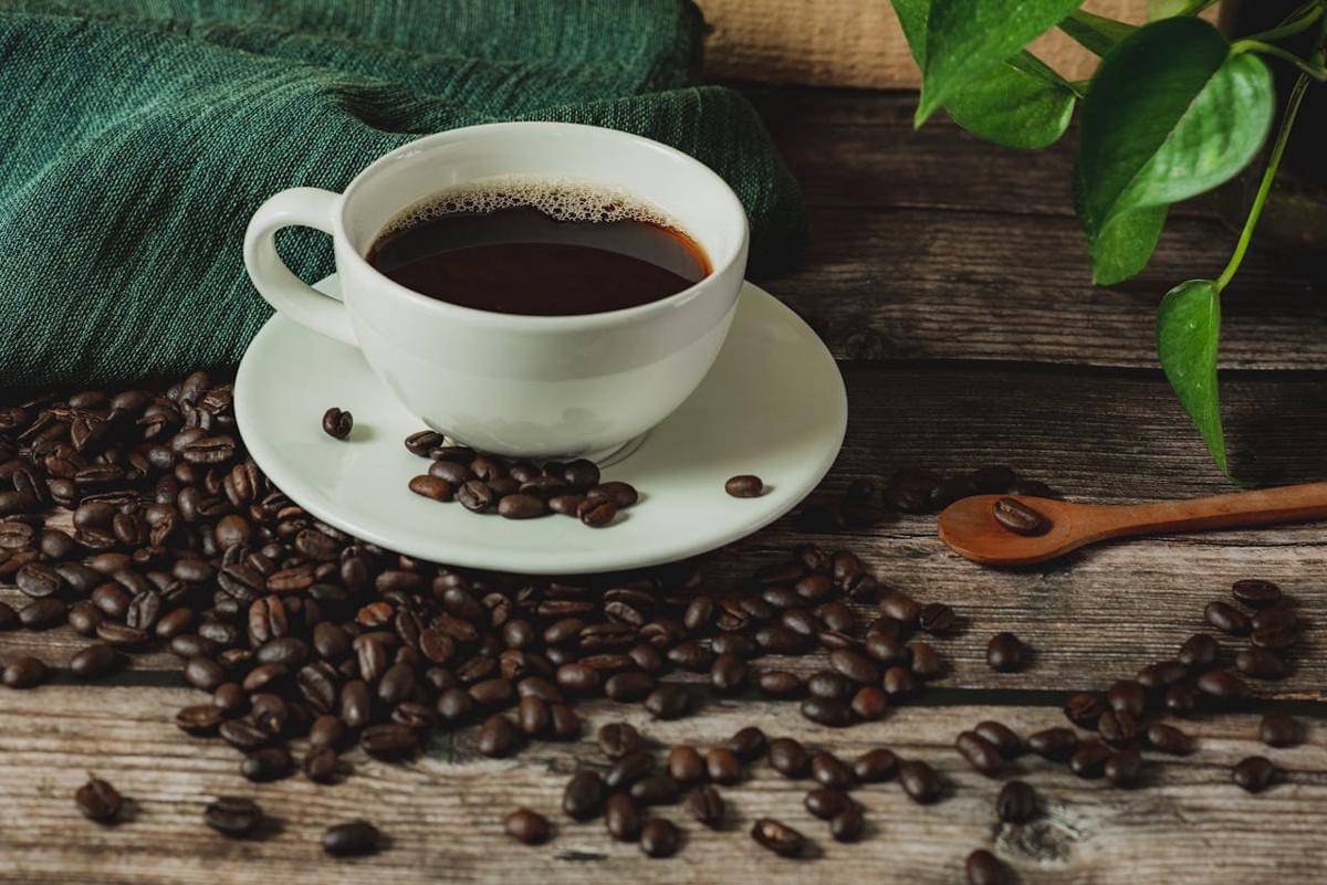 ilustrasi kopi dan biji kopi