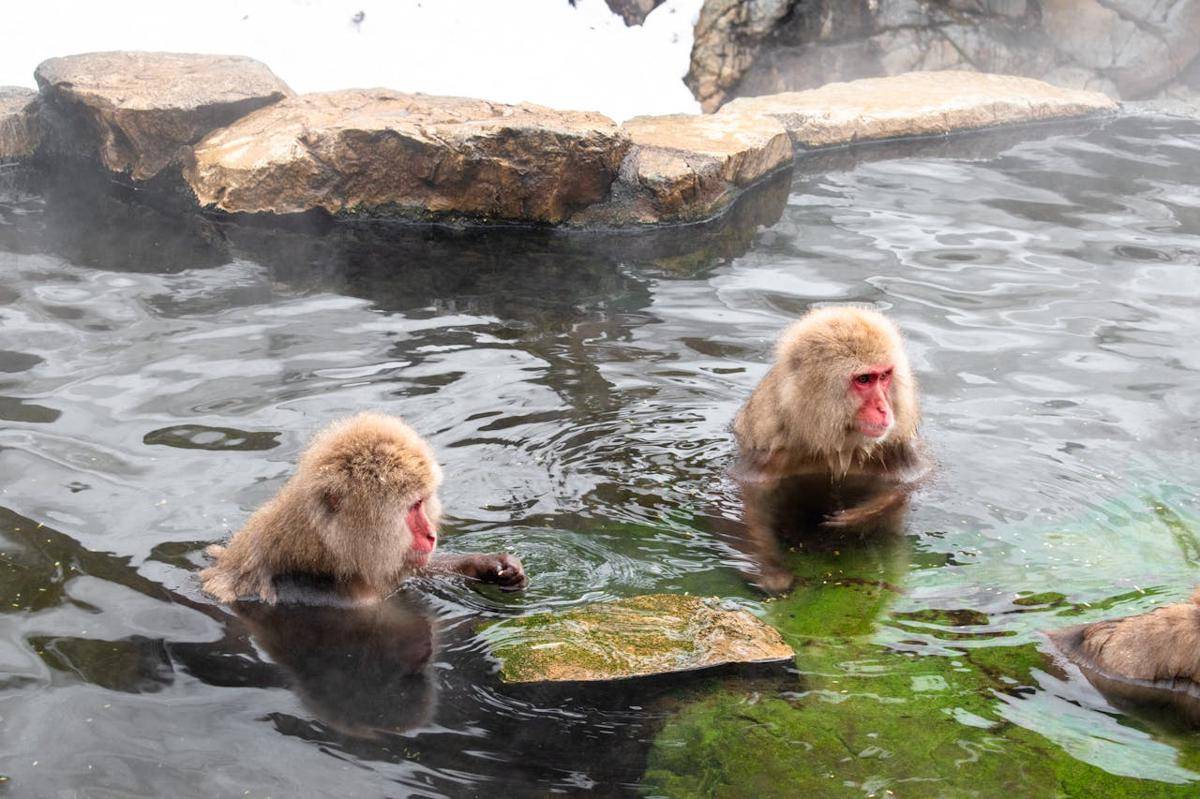Potret onsen di Jepang
