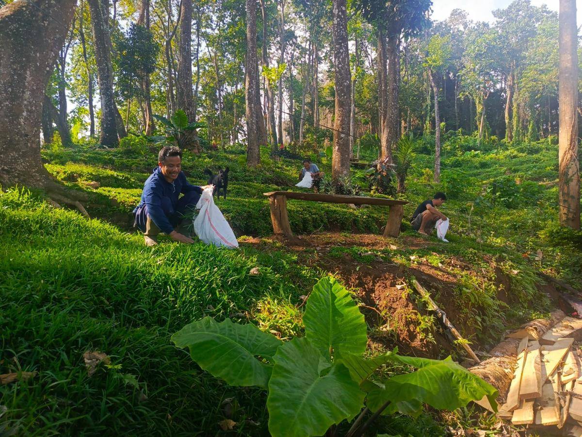 Hutan bali