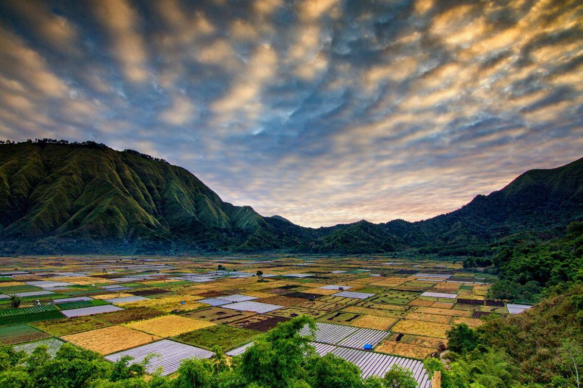 Potret Bukit Selong, Lombok 