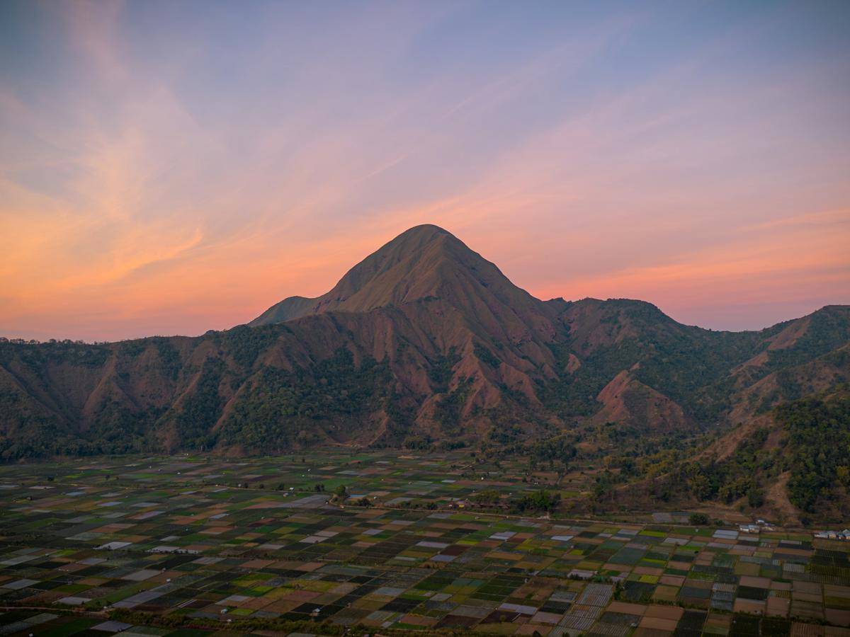 Potret Bukit Pergasingan, Lombok 