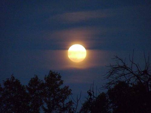 Hunter’s Moon