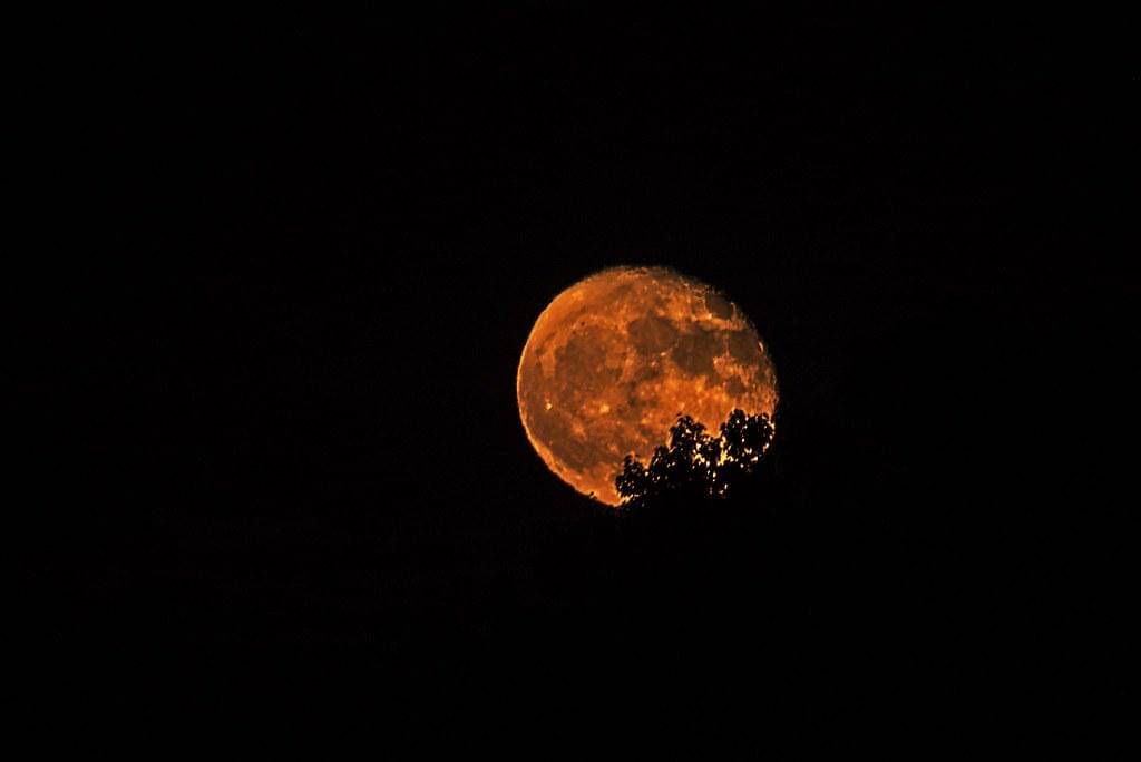 Hunter’s Moon