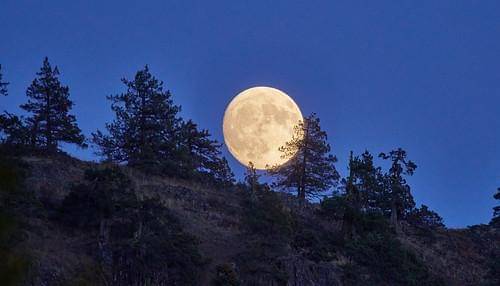 Hunter’s Moon
