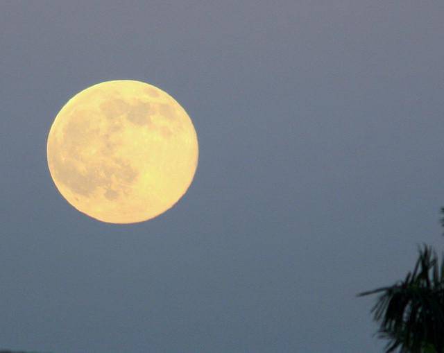 Hunter’s Moon
