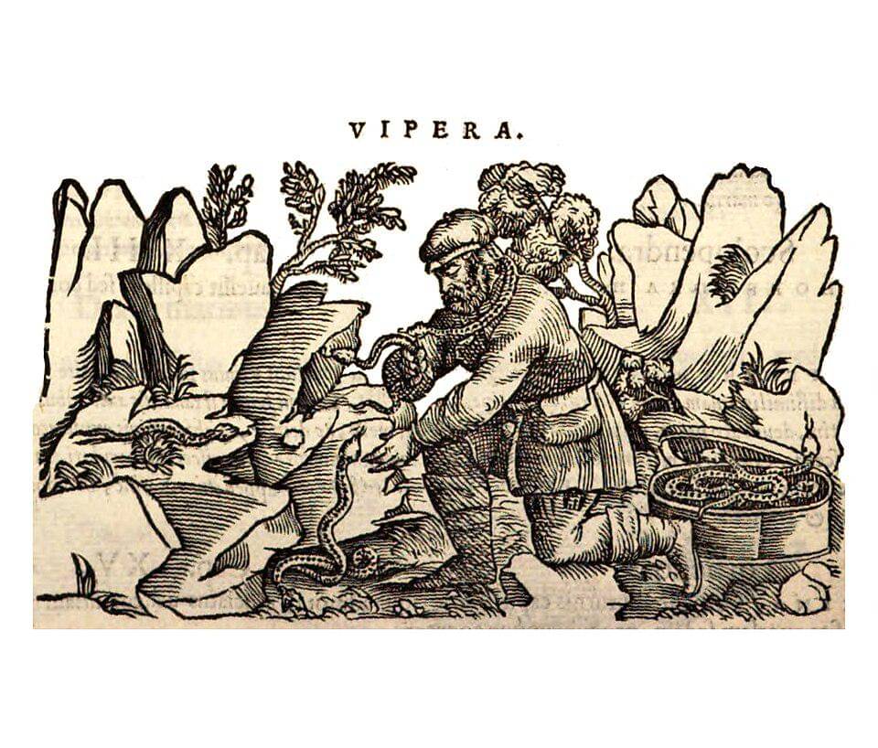 ilustrasi theriac