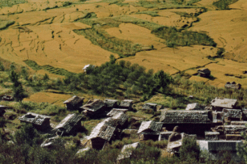Desa Nagoro