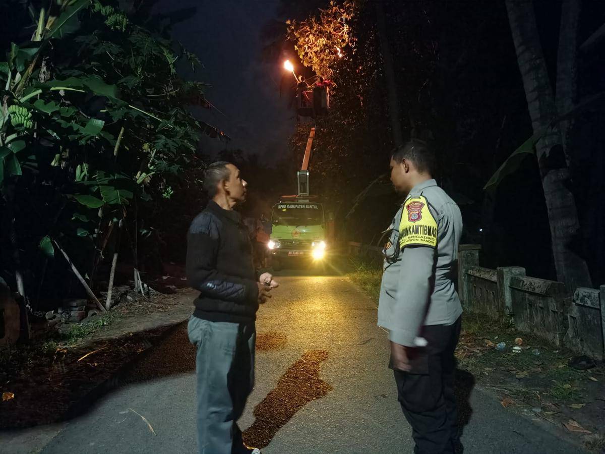 Petugas Damkarmat BPBD Bantul evakuasi sarang lebah di pohon. (Dok. Humas Polres Bantul)