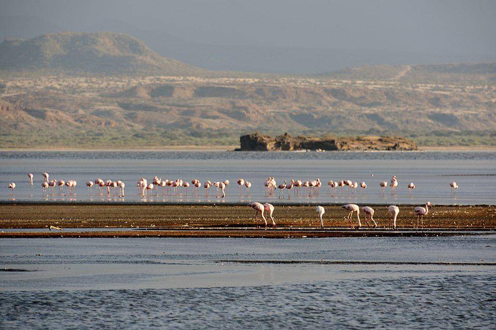Danau Natron (commons.wikimedia.org/Richard Mortel)